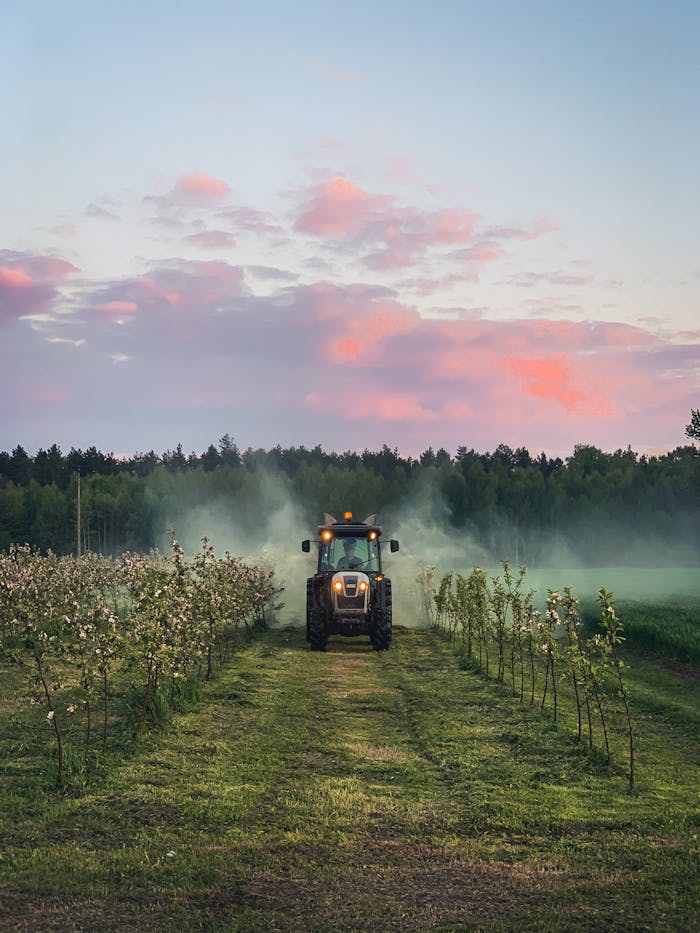 A tractor works in a lush rural field during a colorful dawn, with clouds overhead.