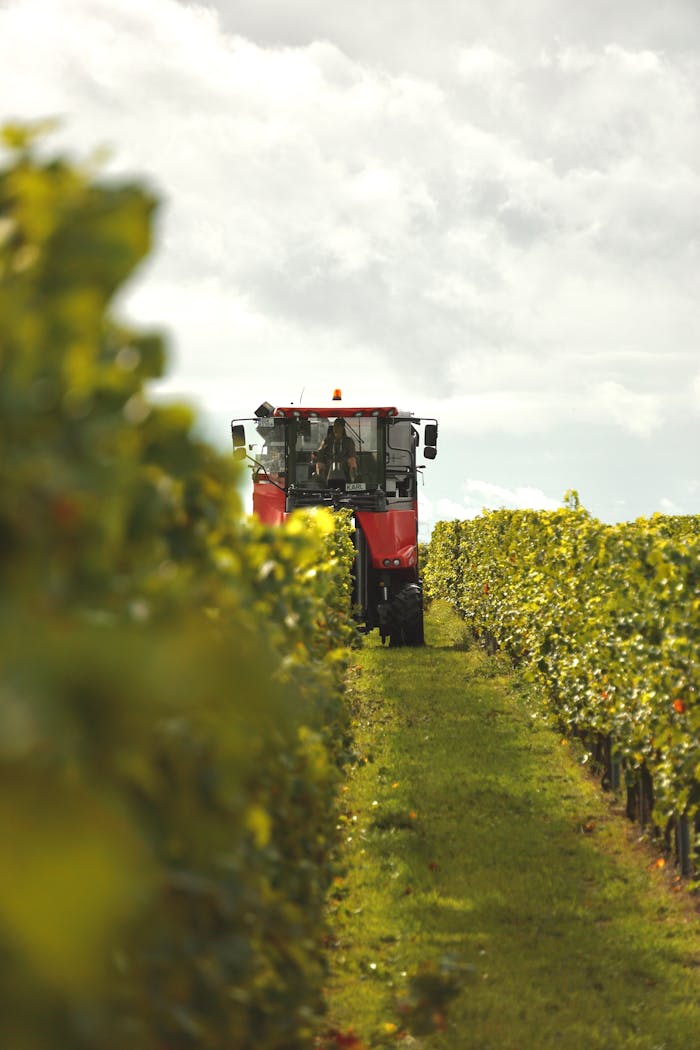 Crafting Captivating Headlines: Your awesome post title goes here A tractor operates in a lush field, capturing the essence of rural agriculture.