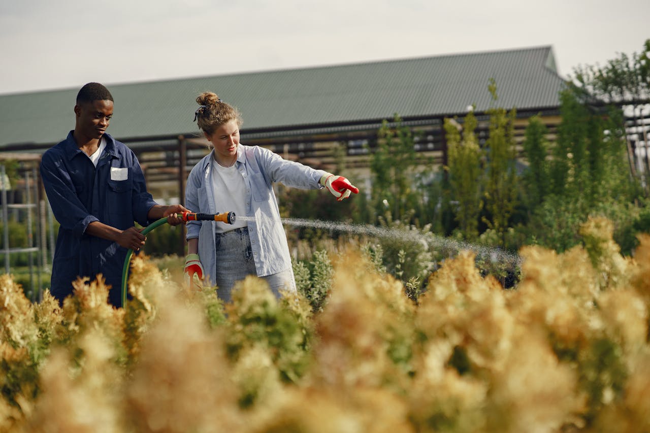 Mastering the First Impression: Your intriguing post title goes here Two gardeners collaborating in a thriving garden, watering plants under the sun.